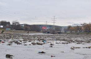 P�ceg�d�r lett a Szamos. Ideje lenne szemben�zni a szennyez�se m�g�tti t�rsadalmi probl�m�kkal