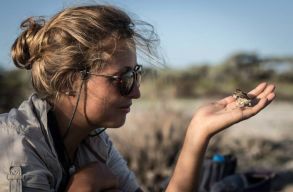 Magyar kutat� munk�ja seg�thet jobban meg�rteni a r�kot, �s utat nyitni ak�r a vele szembeni  rezisztencia fel�